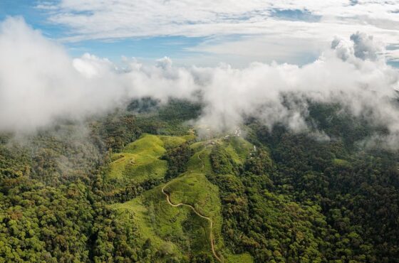Sinharaja Rain Forest Reserve