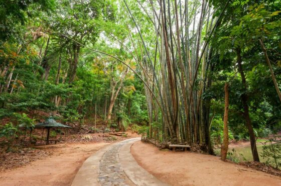 Udawatta Kele Sanctuary kandy