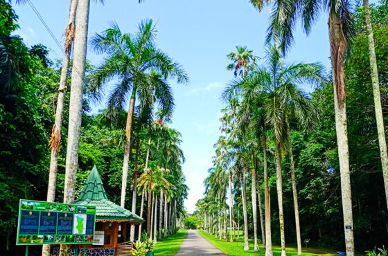 Henarathgoda Botanical Garden