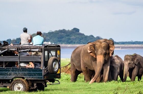 Chundikulam National Park